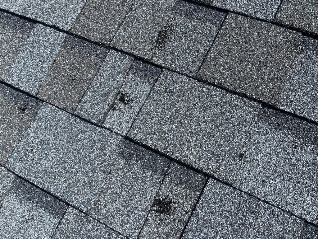 dark spots showing what hail damage can look like on asphalt shingles