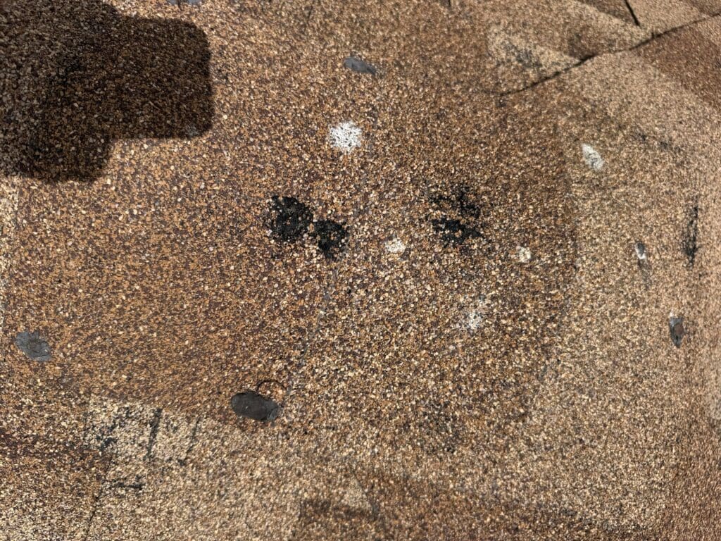 white and black indentation marks on a brown asphalt roof that was impacted by hail damage