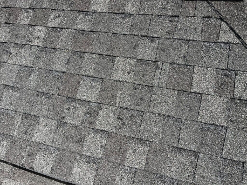 asphalt singles with black indented marks on them, showing what a roof with hail damage can look like